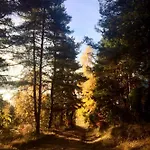 Koza U Woza - Drewniany Dom Premium Z Widokiem Na Tatry Ecospa Strefa Fitness Zielona Farma Healinggarden - Slowtravel 24h Self Check-in (adults Only) בקתה *