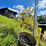 Koza U Woza - Drewniany Dom Premium Z Widokiem Na Tatry Ecospa Strefa Fitness Zielona Farma Healinggarden - Slowtravel 24h Self Check-in (adults Only) * Szlembark