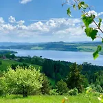 Koza U Woza - Drewniany Dom Premium Z Widokiem Na Tatry Ecospa Strefa Fitness Zielona Farma Healinggarden - Slowtravel 24h Self Check-in (adults Only) *