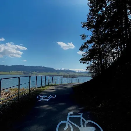 Chalet Koza U Woza Wypocznij W Gorach W Rytmie Slow Drewniany Dom Premium Z Widokiem Na Panorame Tatr Ecospa Strefa Fitness Zielona Farma Warsztaty (adults Only) *