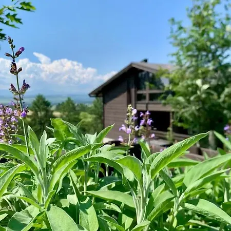 Koza U Woza - Drewniany Dom Premium Z Widokiem Na Tatry Ecospa Strefa Fitness Zielona Farma Healinggarden - Slowtravel 24h Self Check-in (adults Only)