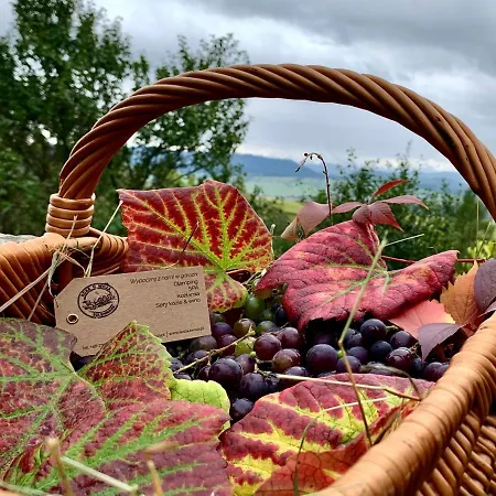 Dağ evi Koza U Woza - Drewniany Dom Premium Z Widokiem Na Tatry Ecospa Strefa Fitness Zielona Farma Healinggarden - Slowtravel 24h Self Check-in (adults Only) Szlembark
