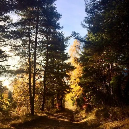 Koza U Woza - Drewniany Dom Premium Z Widokiem Na Tatry Ecospa Strefa Fitness Zielona Farma Healinggarden - Slowtravel 24h Self Check-in (adults Only) Chalet *
