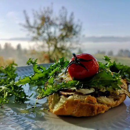 Koza U Woza - Drewniany Dom Premium Z Widokiem Na Tatry Ecospa Strefa Fitness Zielona Farma Healinggarden - Slowtravel 24h Self Check-in (adults Only) Szlembark