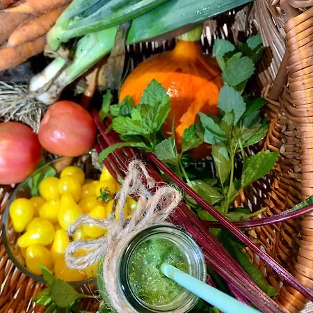 Koza U Woza - Drewniany Dom Premium Z Widokiem Na Tatry Ecospa Strefa Fitness Zielona Farma Healinggarden - Slowtravel 24h Self Check-in (adults Only) Szlembark