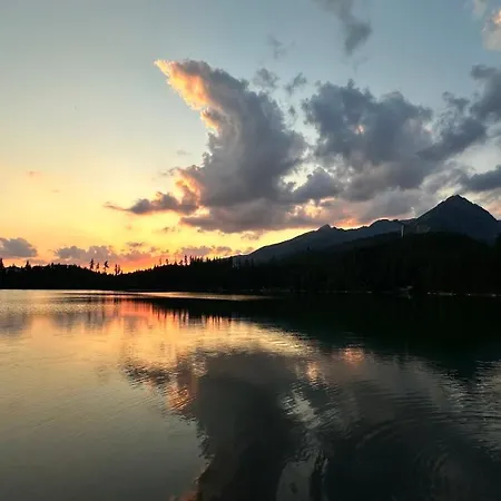 Koza U Woza - Drewniany Dom Premium Z Widokiem Na Tatry Ecospa Strefa Fitness Zielona Farma Healinggarden - Slowtravel 24h Self Check-in (adults Only) *
