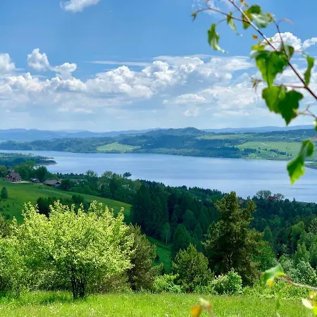 Koza U Woza - Drewniany Dom Premium Z Widokiem Na Tatry Ecospa Strefa Fitness Zielona Farma Healinggarden - Slowtravel 24h Self Check-in (adults Only) *